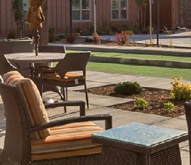 Courtyard Furniture BBQ